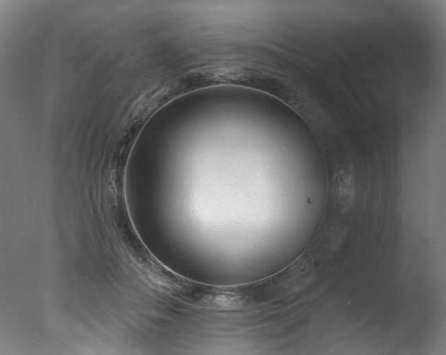 X0000077310506200610201157
