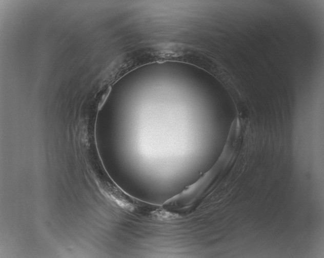 X0000077310512200610201156
