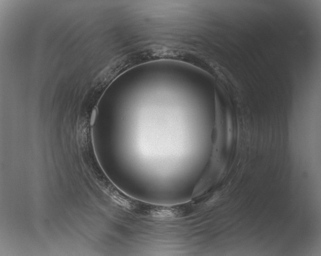 X0000077310513200610201156