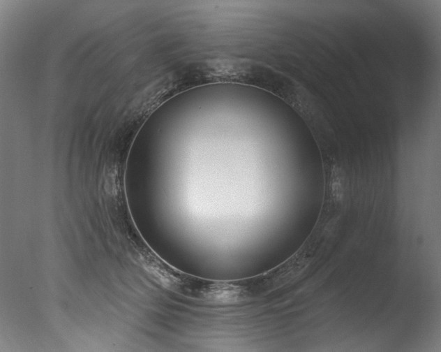 X0000077310514200610201156