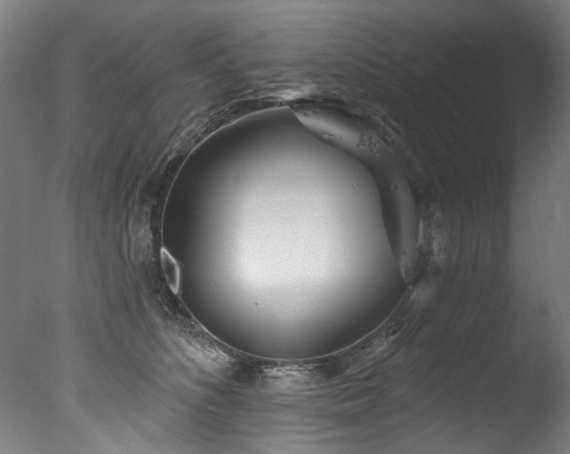 X0000077310516200610201156