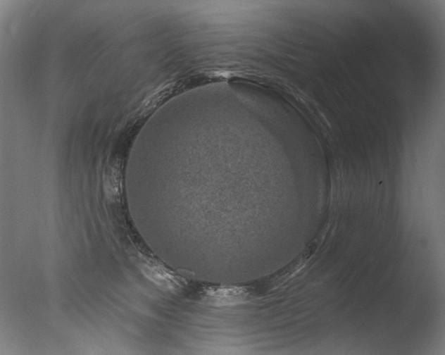 X0000077310517200610201156
