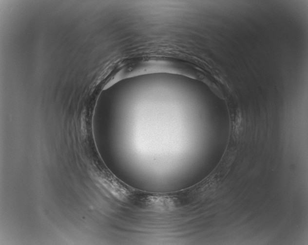X0000077310520200610201156