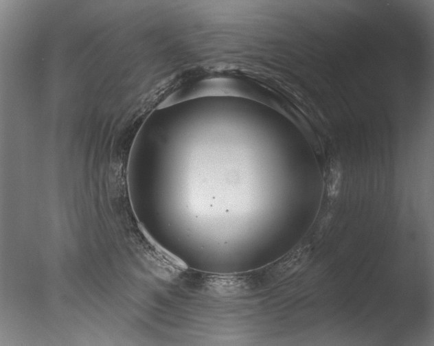 X0000077310521200610201156
