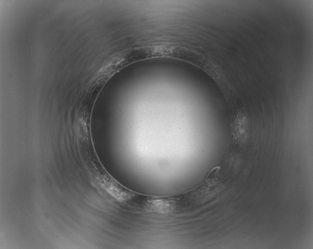 X0000077310522200610201156