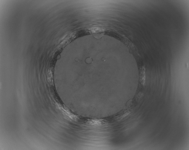 X0000077310523200610201156