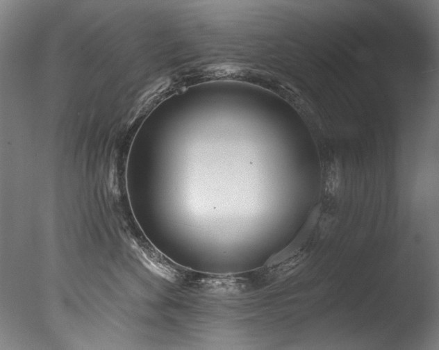 X0000077310524200610201156