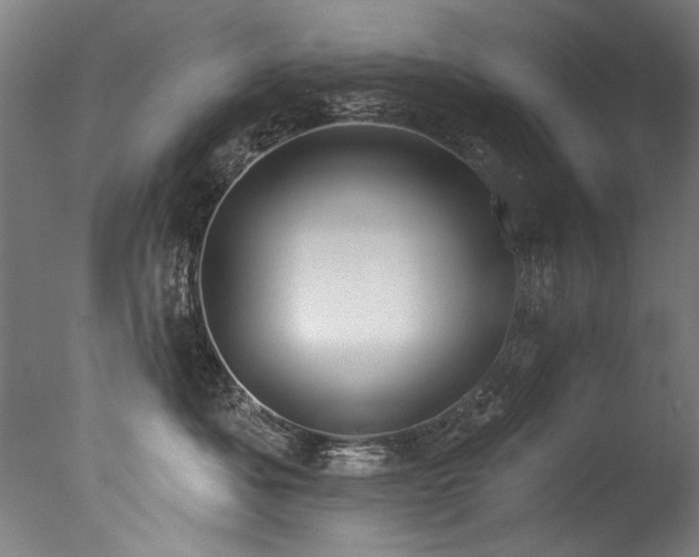 X0000077310525200610201156