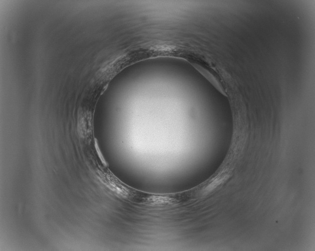 X0000077310528200610201156