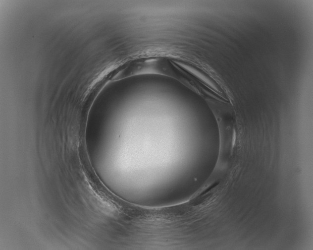 X0000077310530200610201155