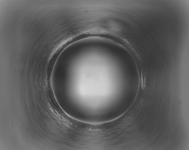 X0000077310531200610201155