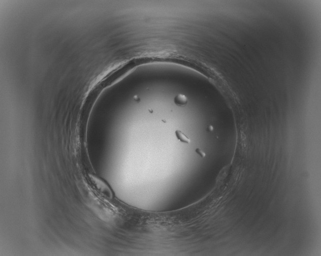 X0000077310532200610201155