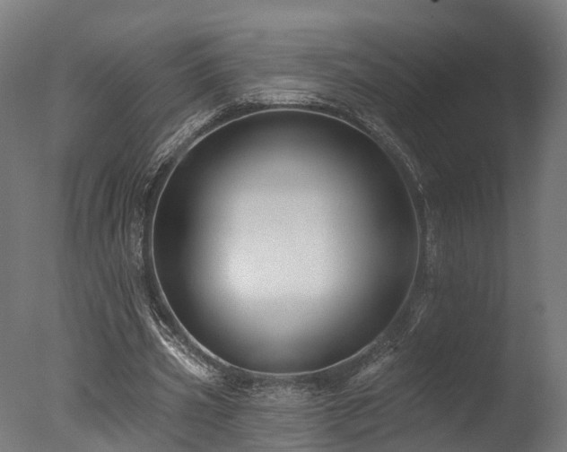 X0000077310533200610201155