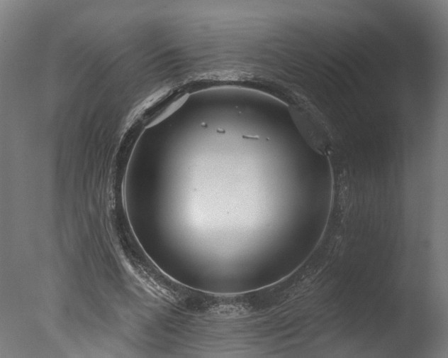 X0000077310536200610201156