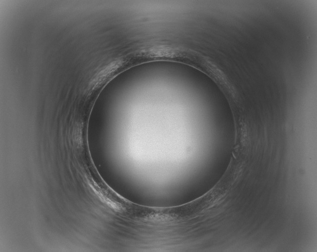 X0000077310537200610201156