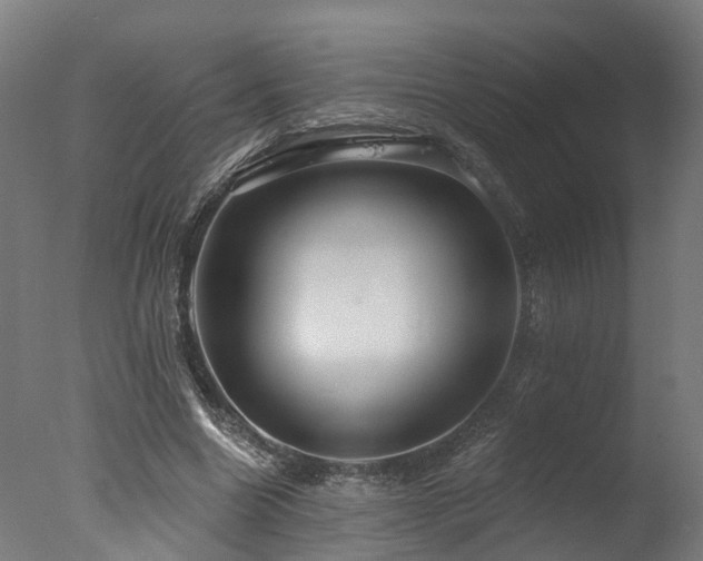 X0000077310538200610201156