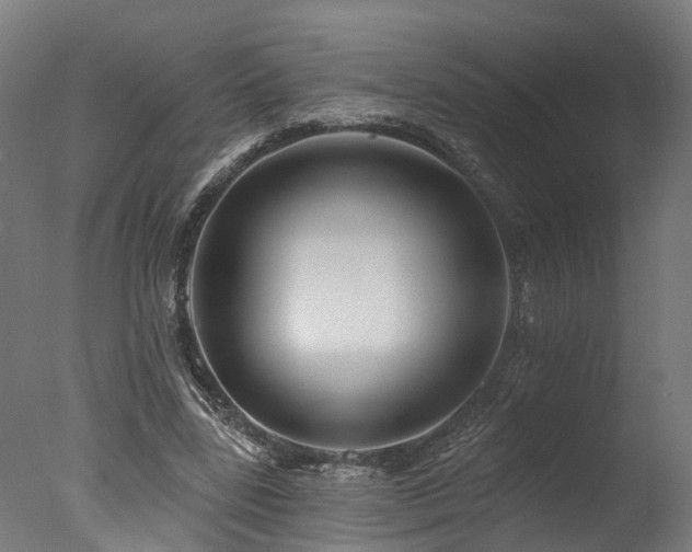 X0000077310539200610201156