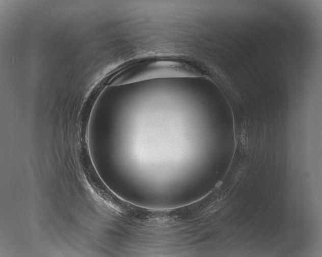 X0000077310540200610201156