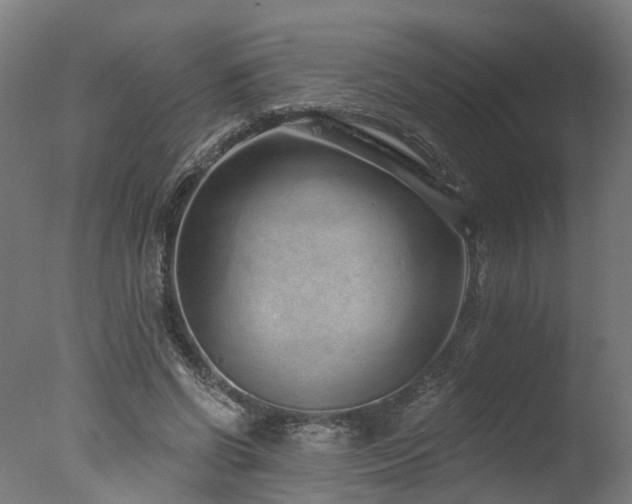 X0000077310542200610201156