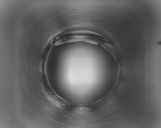 X0000077310543200610201156