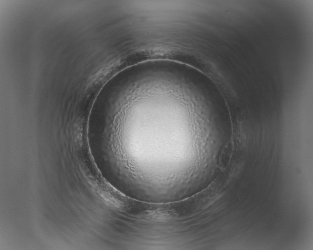 X0000077310545200610201156