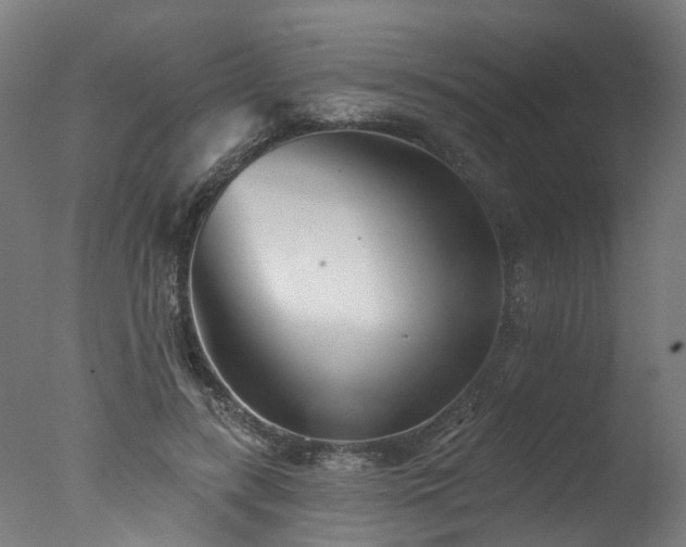X0000077310547200610201156