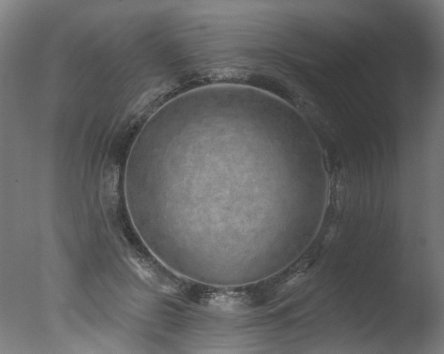 X0000077310550200610201156