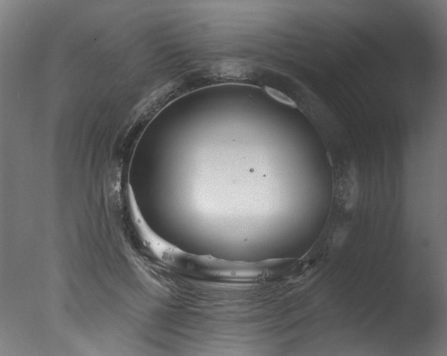 X0000077310552200610201156