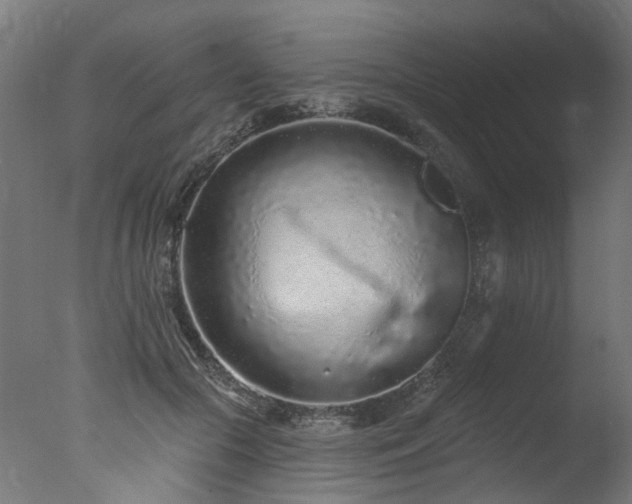 X0000077310553200610201156