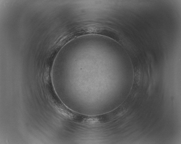 X0000077310554200610201156