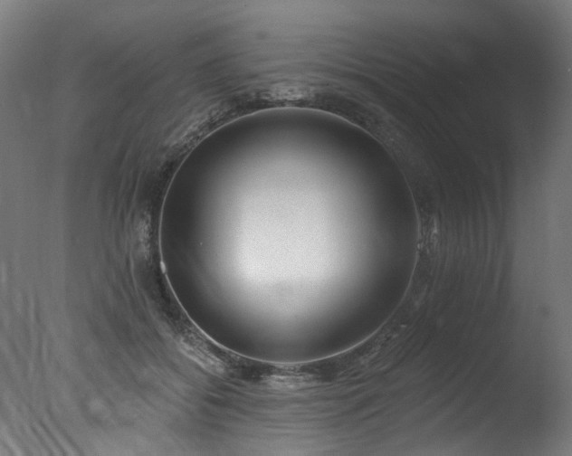 X0000077310556200610201156
