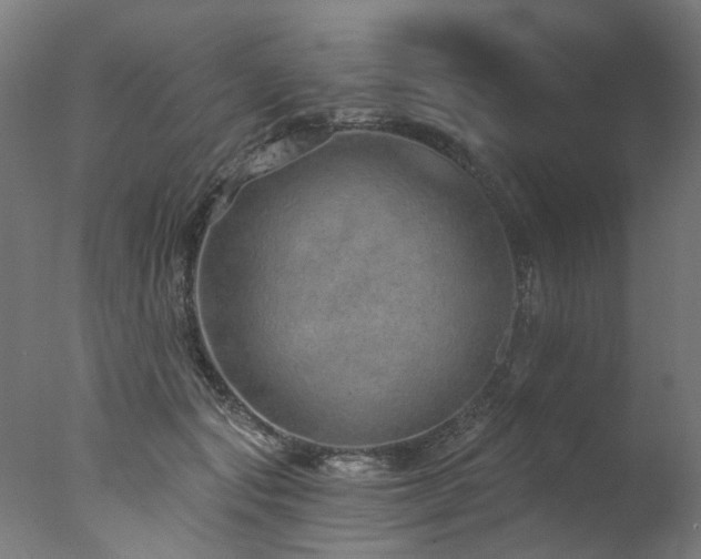 X0000077310557200610201156