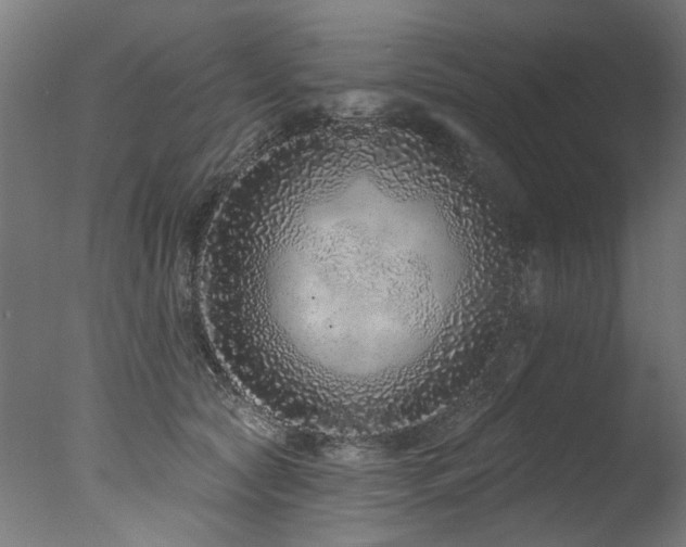 X0000077310561200610201156