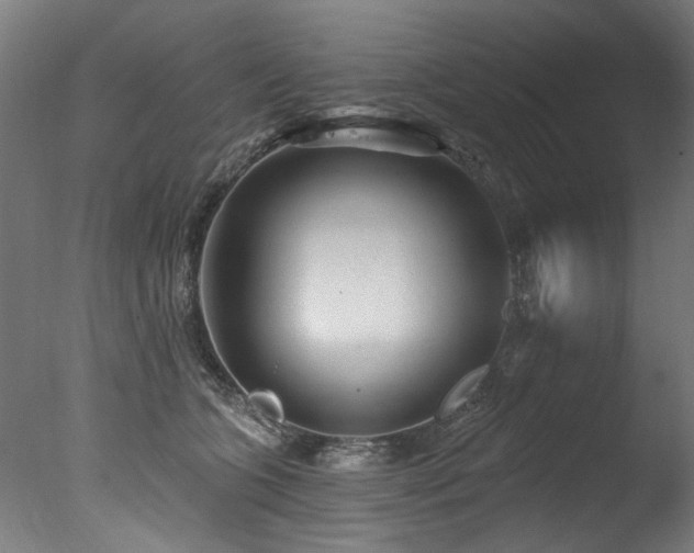 X0000077310563200610201156