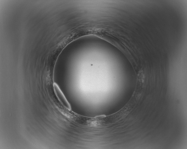 X0000077310564200610201156