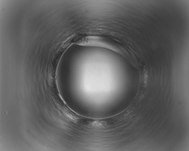 X0000077310566200610201156