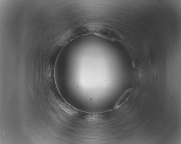 X0000077310567200610201156
