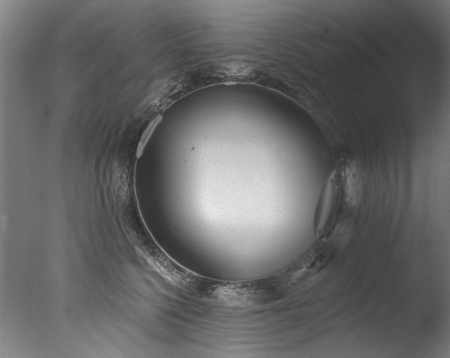 X0000077310568200610201156