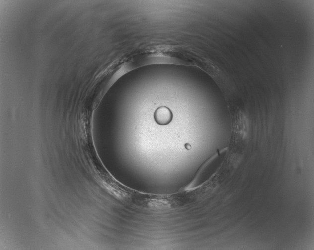 X0000077310572200610201156