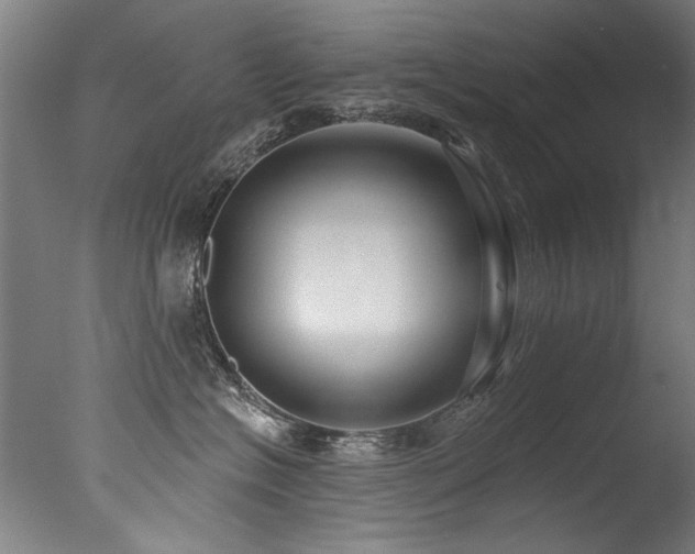 X0000077310574200610201156