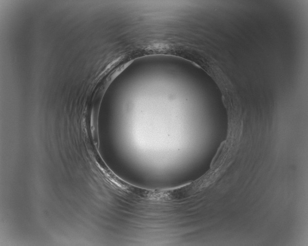 X0000077310576200610201156