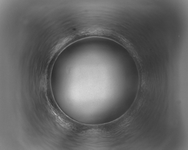 X0000077310578200610201155