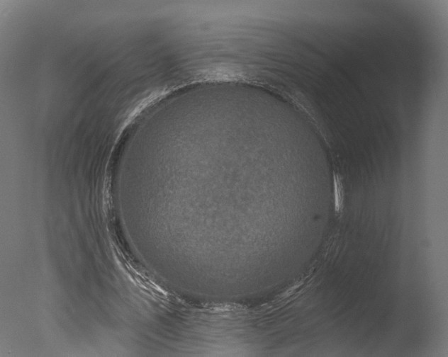 X0000077310579200610201155