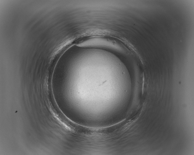 X0000077310581200610201155