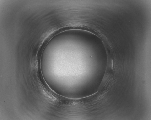 X0000077310584200610201155