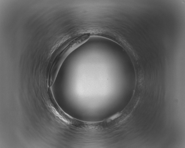 X0000077310585200610201155