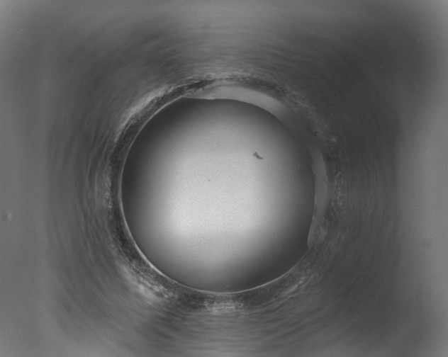 X0000077310587200610201155