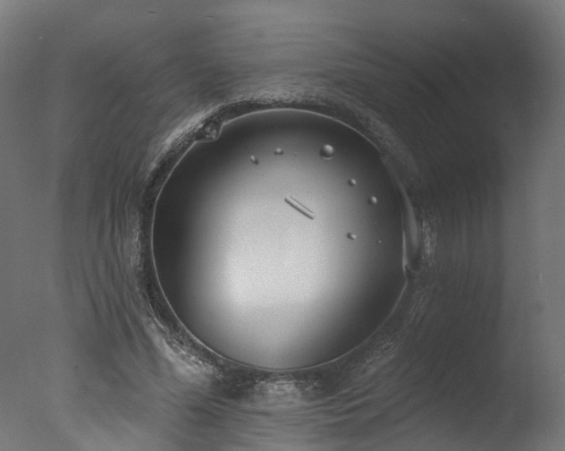X0000077310588200610201155