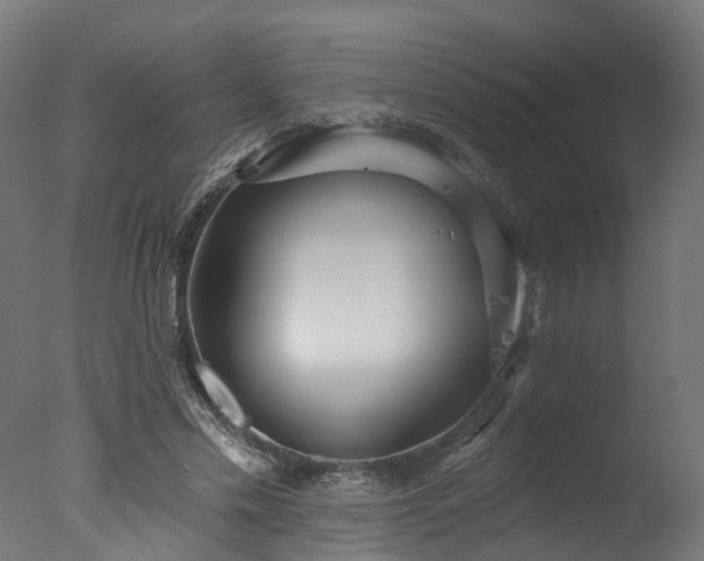 X0000077310589200610201155