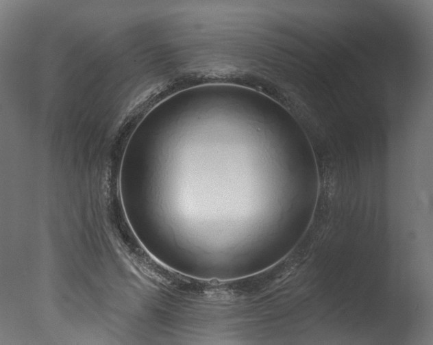 X0000077310591200610201155